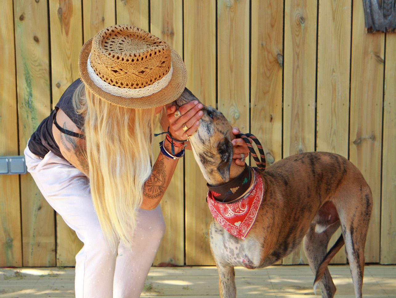 Tigger-rescue-dog-portrait 