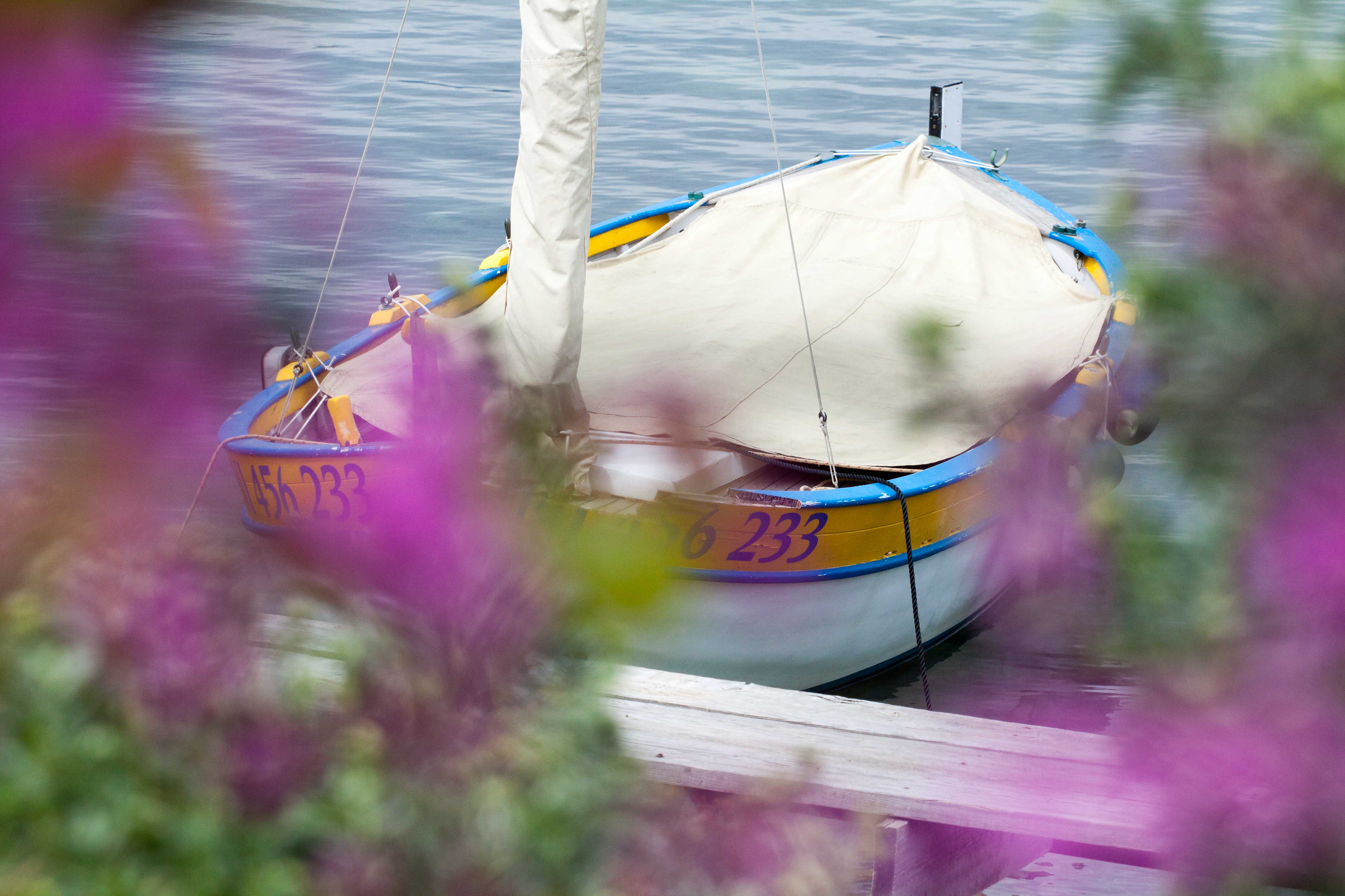 Ports-in-Cap-d'Antibes