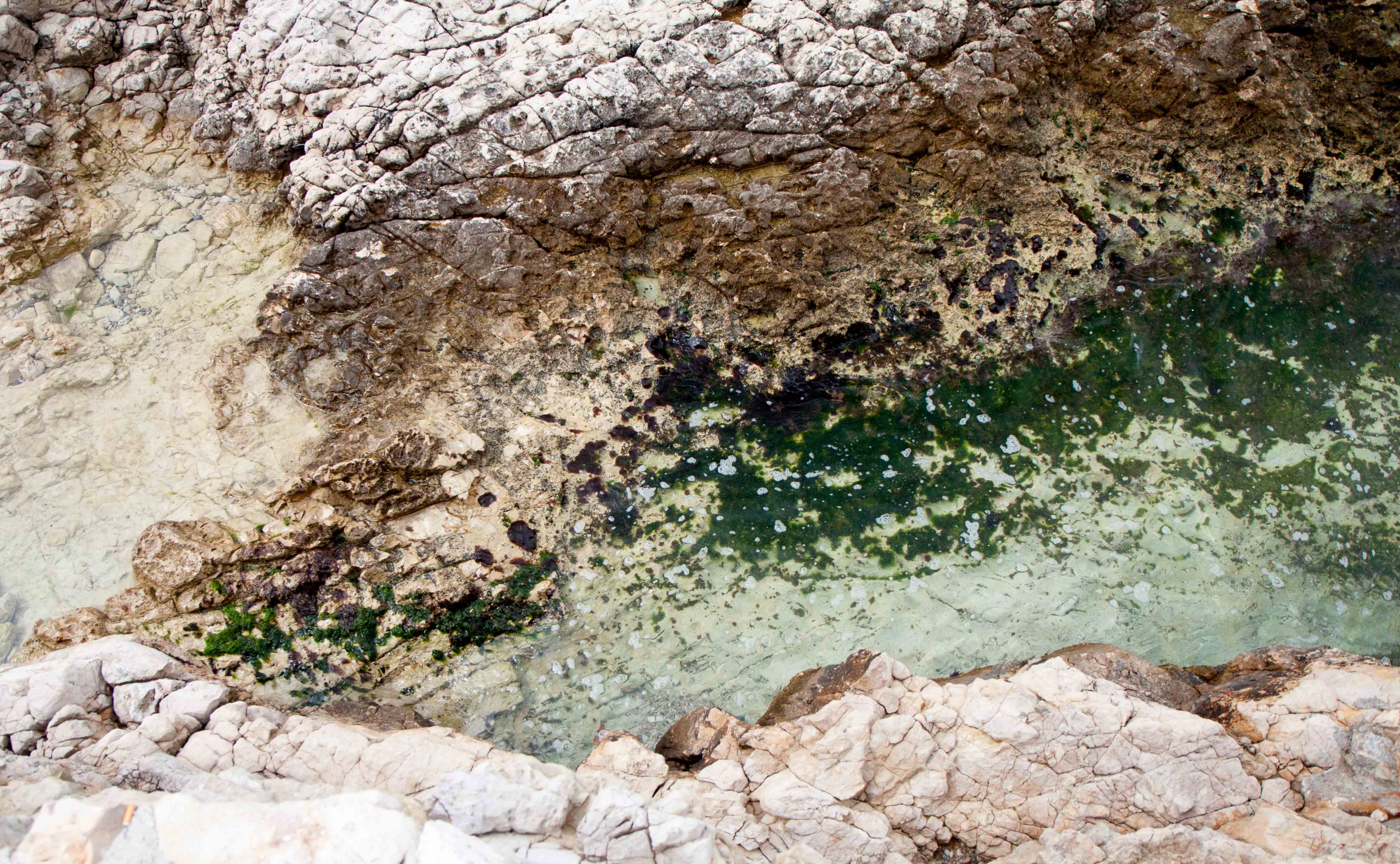 Ports in Cap d'Antibes